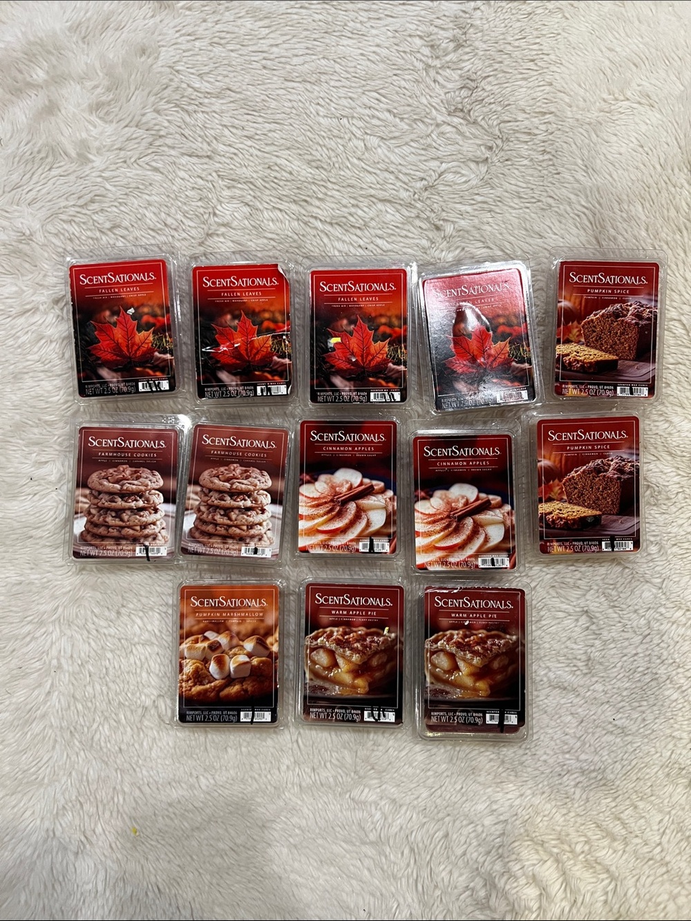 13 New fall wax cubes pumpkin cinnamon apples fallen leaves